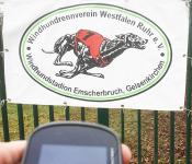 Windhundstadion Beispiel Logproof