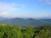 Blick zur Burgruine Altnussberg