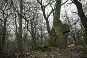 ein grabstein im wald