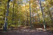 Parkplatz im Herbst