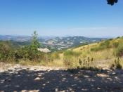 Vista su Fermignano (View towards Fermignano) 