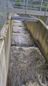 Fischtreppe_2