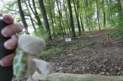 Schranke