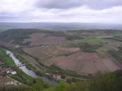 Lemberg Blick