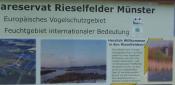 Beispiel zu 2: Vogelschutzgebiet Nahaufnahme