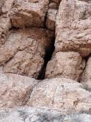 Inside this crack