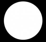 Scheibe