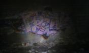 Graffiti 3f