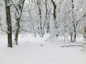 Nov. 2012 Auf dem Wildenstein
