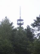 Das ist der Turm, wo es Futter gibt :-)