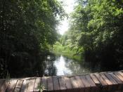 Naturnahe Elde hinter dem Stauwehr