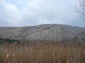 The Chepan mountain as seen from the marsh