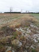 Der Weg aus dem Wald hinaus