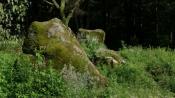 Frauenstein (mit Taufstein im Bild)