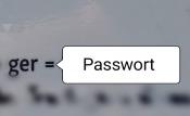 Passwort 
