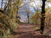 [1] Die Schutzhütte am Weg zur Burg