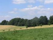 Blick vom Cache in die Natur