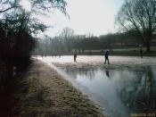 Der Eisweiher am 30.12.2008