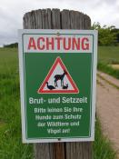 Brut- und Setzzeit