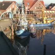 Hafen Ost