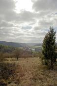 Blick zum Birnthaler