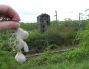 Beispiel zu 3: Oberhausen Ringlokschuppen mit Landschildkroete