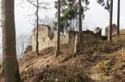 Ruine Raueneck 2