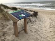 Wal-Infotafel vor Ort (am Strand)