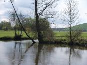 Die Zenn mündet in die Regnitz