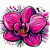 Orchidee