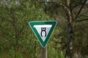 Schild