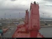 Arina Arctica (webcam)