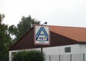 Punkt 1