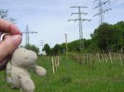 Beispiel zu 1: Jule mit Landschildkroete