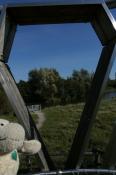 Beispiel zu 2 Foto 2: Durchblick mit Landschildkroete