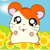 hamtaro