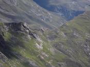 Rückblick zur Niederelbehütte