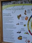 Phänologieuhr