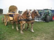 Planwagen auf Tour