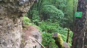 Blick zurück auf den Klettersteig