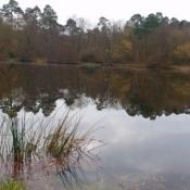 Am Bitzensee