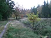 Blick vom Schatzweg zum Hinweisschild