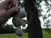 Beispiel zu 5: Hornissen-Papiernest in Münster im alten Apfelbaum mit Landschildkroete