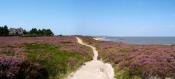 Panorama - Braderuper Heide - Weg an der Küste entlang