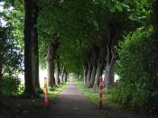 Der Weg zur Schlangenkapelle