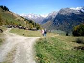 Wegkreuzung bei den Sieben Hütten  (Seven huts)