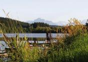 Bachtelsee1