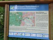 Schild