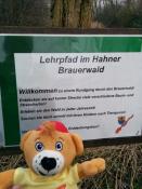 Logbeispiel: Waldlehrpfad Hahner Brauerwald