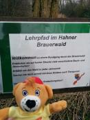 Logbeispiel: Waldlehrpfad Hahner Brauerwald